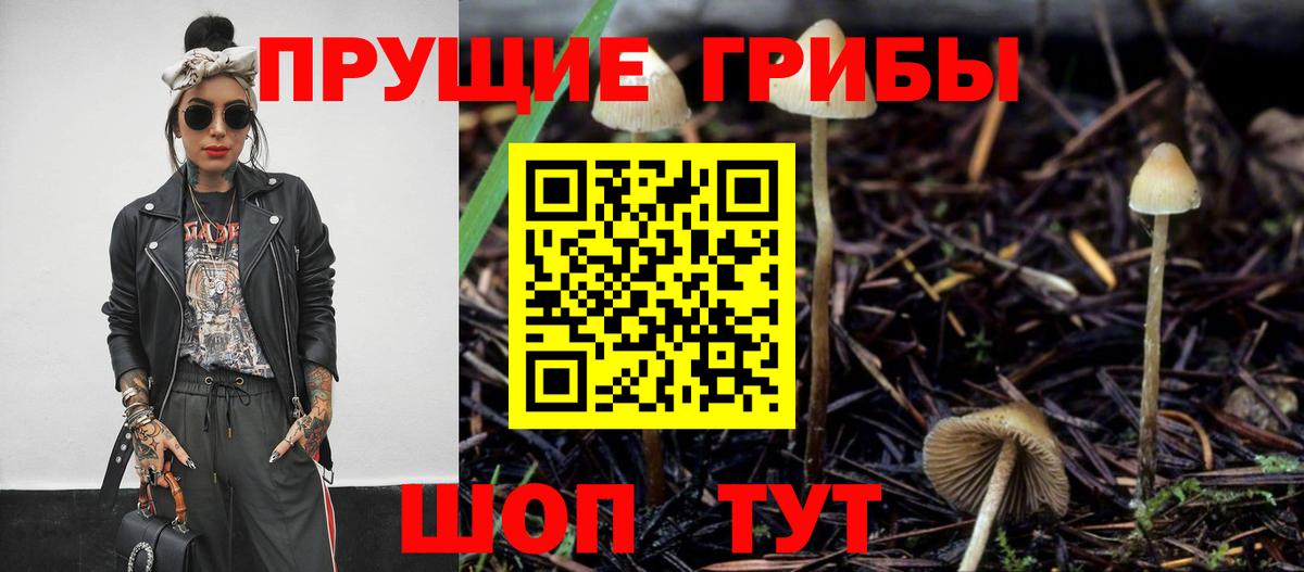 Псилоцибиновые грибы MAGIC MUSHROOMS  Вход с VPN  Псилоцибиновые грибы MAGIC MUSHROOMS  Старая Русса 