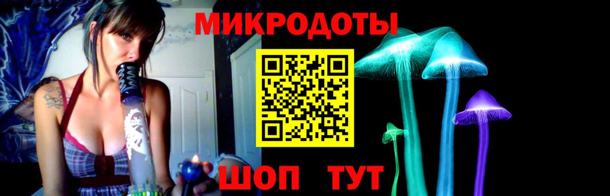Псилоцибиновые грибы мухоморы Старая Русса